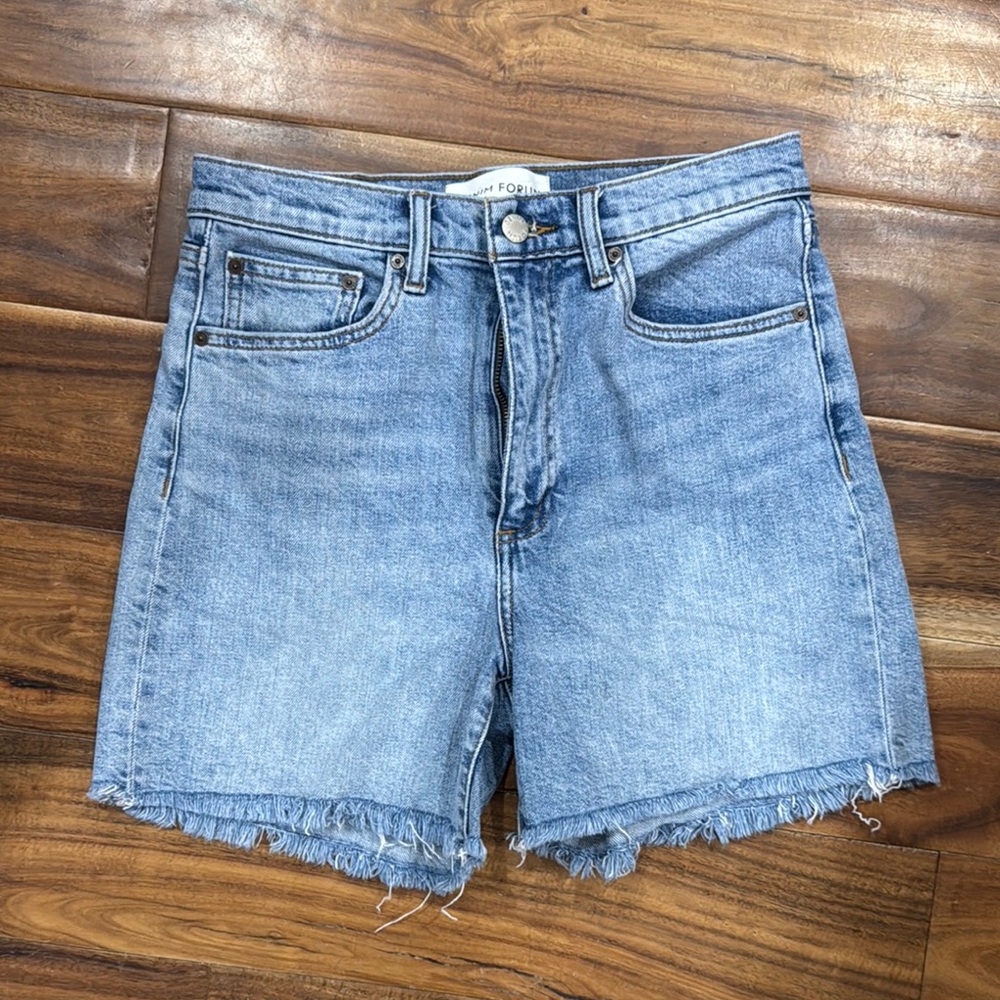 Aritzia Denim Forum Denim Blue Women's Shorts